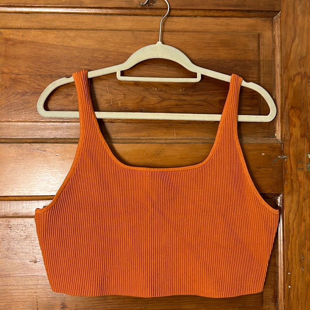 Aritzia Babaton Bralette 2XL